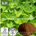 Origanum Vulgare Extract; 10: 1; Oregano Oil